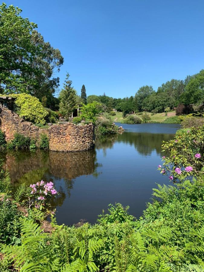 The Tawny Hotel Wetleyrocks Exteriér fotografie